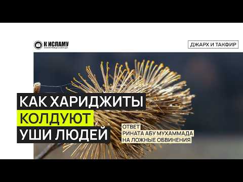 Как хариджиты колдуют уши людей? Ответ Рината Абу Мухаммада на ложные обвинения