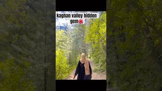 You Won’t Believe This View! 😍 | Mini Hiking Vlog #kaghanvalley #mountains #viral shorts