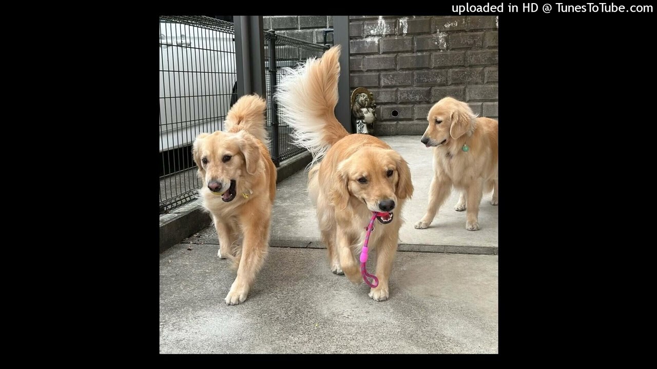 free tezzus type beat 020326