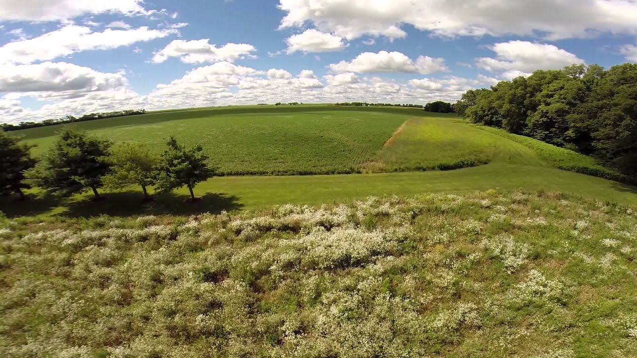 Busby Family Farm YouTube