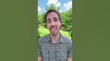 BREAKING: The Roadless Rule was just rescinded — and most people don’t even know what we’re losing.