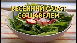 Свежий весенний салат со щавелем Свежий весенний салат со щавелем