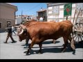 CARRETEROS NAVARREDONDA GREDOS