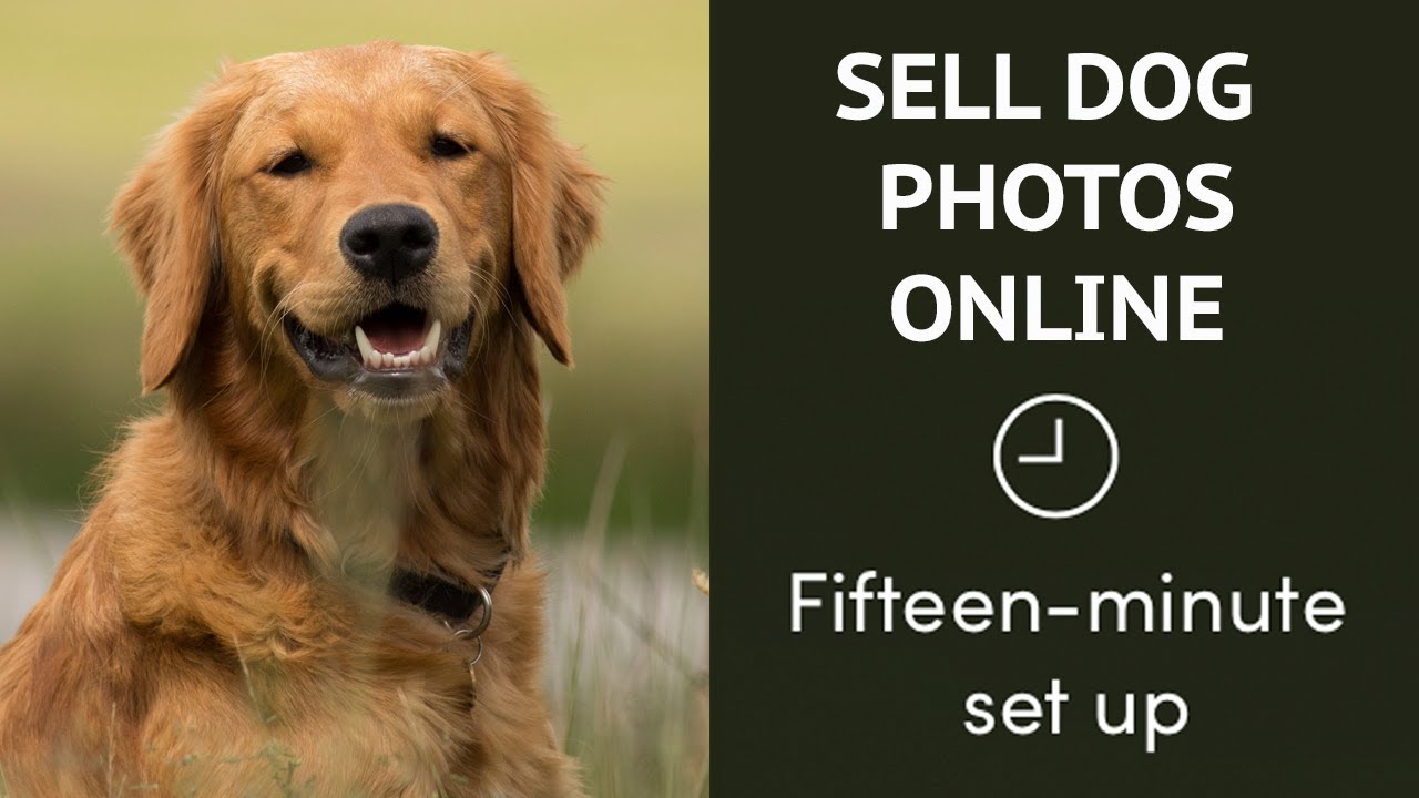 do you need a permit to sell dogs