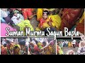 Sagun Bapla || Suman Murmu Sagun Bapla || Seta Bapla. 2024 #santhali #sagunbapla #traditional 