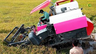 Nice Processing Rice Harvester Machine Kubuota DC70Plus Safety Operator Skills Workers At Farm`s