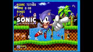 Sonic The Hedgehog In 836 World Record