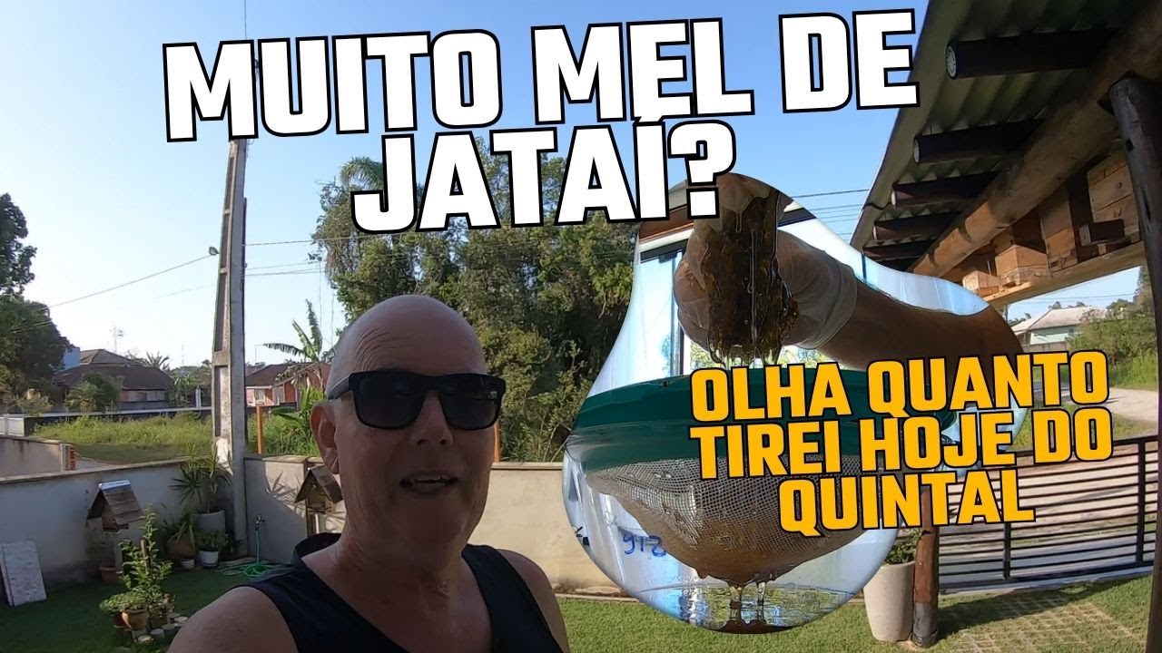 404 -TIRANDO MUITO MEL DE JATAÍ