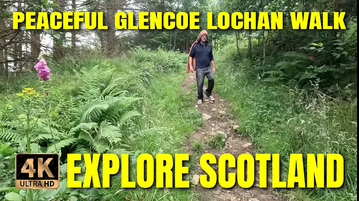 [4k 60] Peaceful Forest Walk at Glencoe Lochan | Scottish Highlands Nature Sounds
