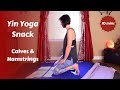 Yin Yoga Snack for Calves & Hamstrings | Deep Stretch for Legs {15 mins}