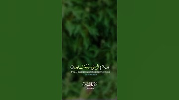 سورة الناس | تلاوة قصيرة مؤثرة