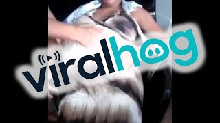 Download lagu Mom s Moving Belly ViralHog Mom s Moving Belly ViralHog