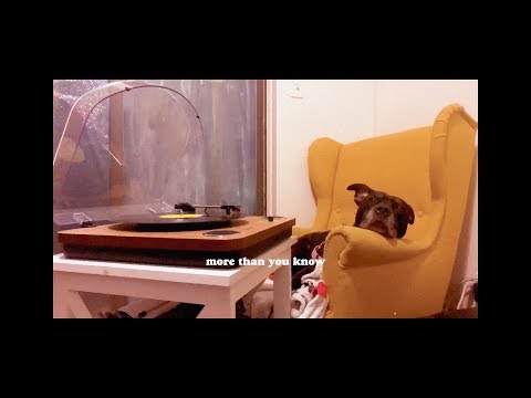 Guarda HOAX - more than you know (Official Lyric Video) su YouTube