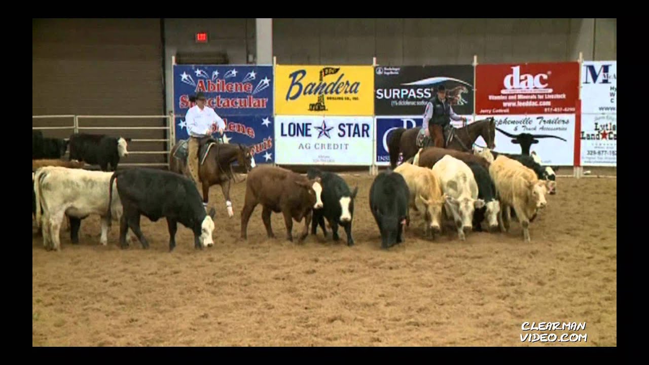 Dual Smart Kitty and Clay Johnson