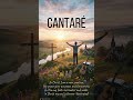 Cantaré #musica #musicaevagelica #music #los5minutosdelespiritusanto #violin #gospelmusic
