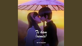 Te Kam (Remix) - Vojsava Alia