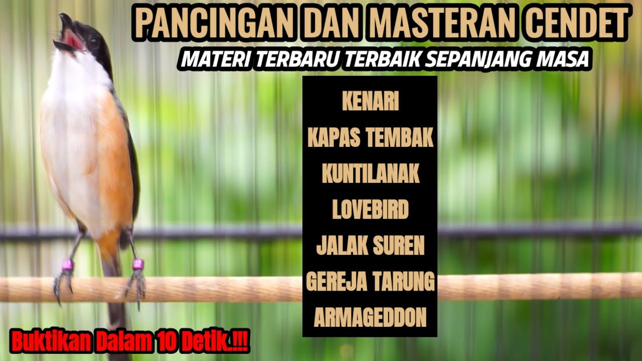 100% AMPUH PANCINGAN DAN MASTERAN CENDET MATERI KOMPLIT
