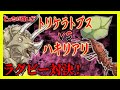 【どっちが強い】強烈タックルが続出！恐竜と昆虫がまさかのラグビー対決！トリケラトプスvsハキリアリ【漫画】【オリンピック】