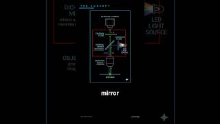 The Fluorescence Microscope: Every Component in One Light Path 🔬