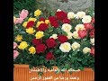 الدرس 14 - شرح كتاب التوحيد - المرحلة الاولي - لفضيلة الشيخ الدكتور/ صال...