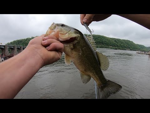 Mississippi River bass fishing||Bank fishing for bass!! - YouTube