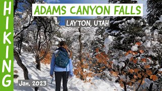 Hiking Adams Canyon Falls (Layton, Utah) through deep snow! Jan. 2023