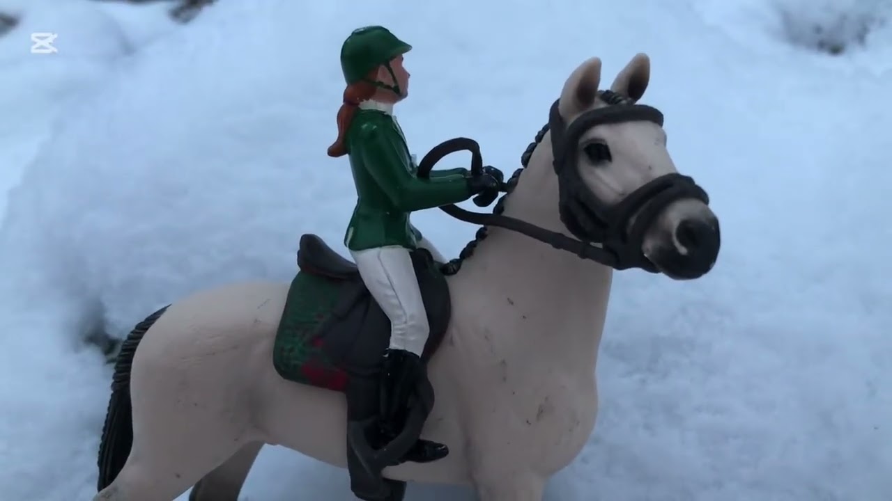 Talvinen maasto❄️🧑🏻‍🎄