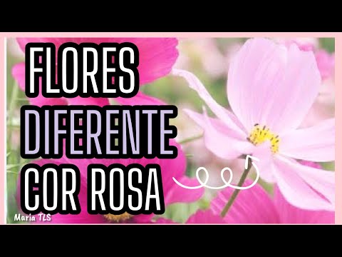 Looking for PINK flowers for your garden? I've prepared a list with 207 flowers (*;*)/#mariatls #...