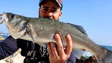 Quali sono le caratteristiche della pesca nel Mar Mediterraneo?