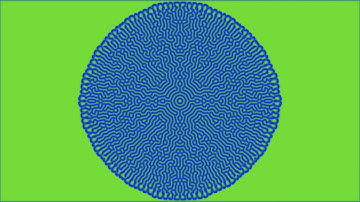 Reaction Diffusion Simulation | k0.0572 / f0.0319