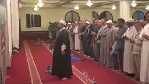 سورة الفاتحة و النّازعات برواية الإمام خلف عن الإمام حمزة الشيخ بلال بن محمود - القران الكريم