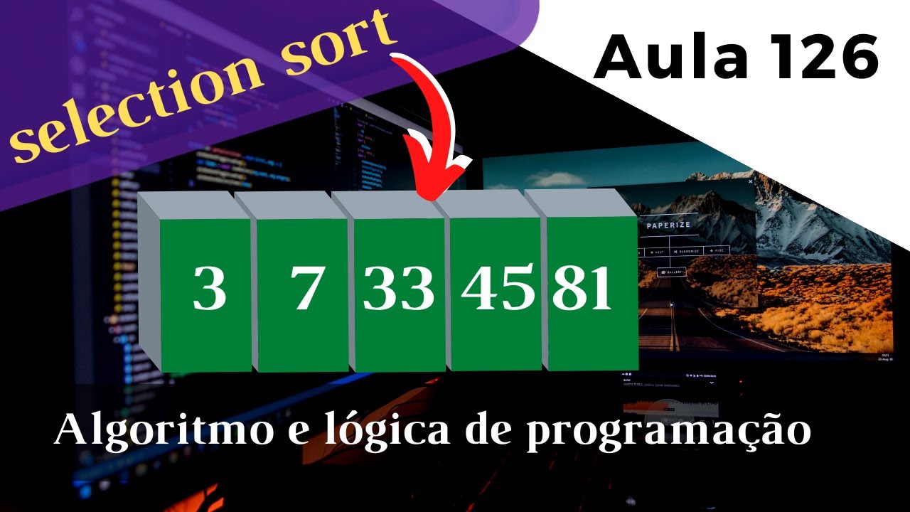 Como ordenar um vetor com o algoritmo SELECTION SORT