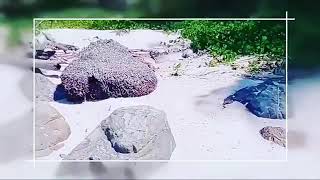 pantai pulau Mustiga padang tikar kabupaten kubu raya