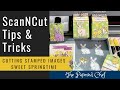 Brother ScanNCut Tips &amp; Tricks - Cutting Stamped Images - Sweet Springtime by Stampin’ Up!