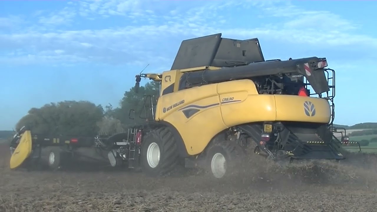 Sklizeň Soji 2025 s New Holland CR 8.90