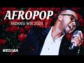 Afropop mzansi mix 2024  dj webaba