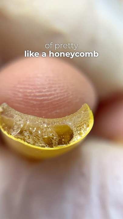 Didn’t expect to find this inside her nails 🐝 #nailcou