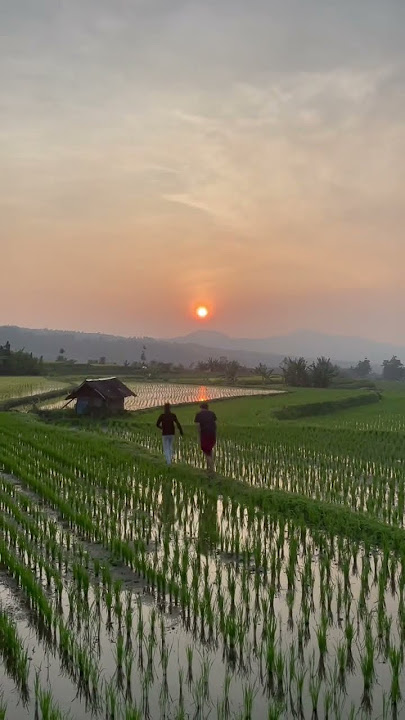 Sunrise di Batipuah, Padang Panjang-Sumatra Barat #shorts #sunrise