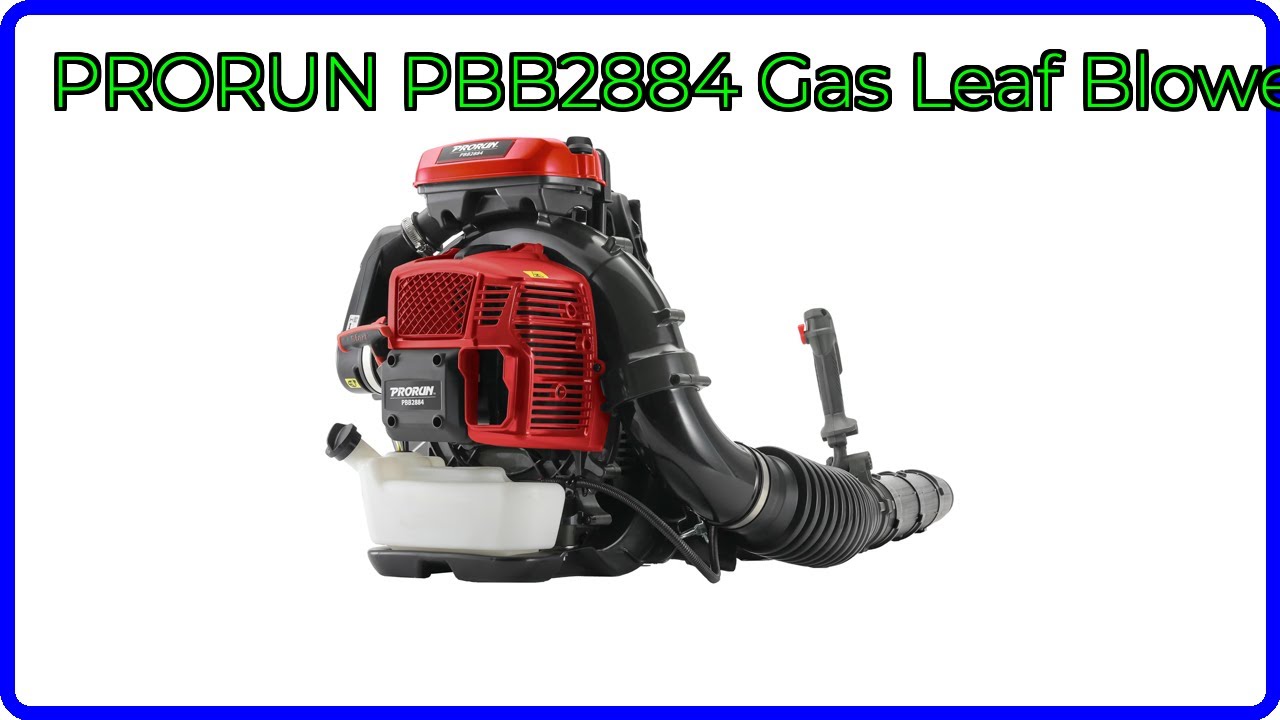 REVIEW (2026): PRORUN PBB2884 Gas Leaf Blower. ESSENTIAL details.