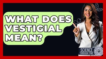 What Does Vestigial Mean? - Science Through Time