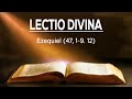 Lectio Divina│ Ezequiel: 47, 1-9. 12│Padre Jorge Zárraga MJM.