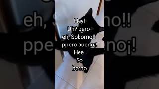 El baile del soborno se baila asi, asi, asu, asi JAJAJAHSKAHSKSHSKAHKAH #humor#winexd