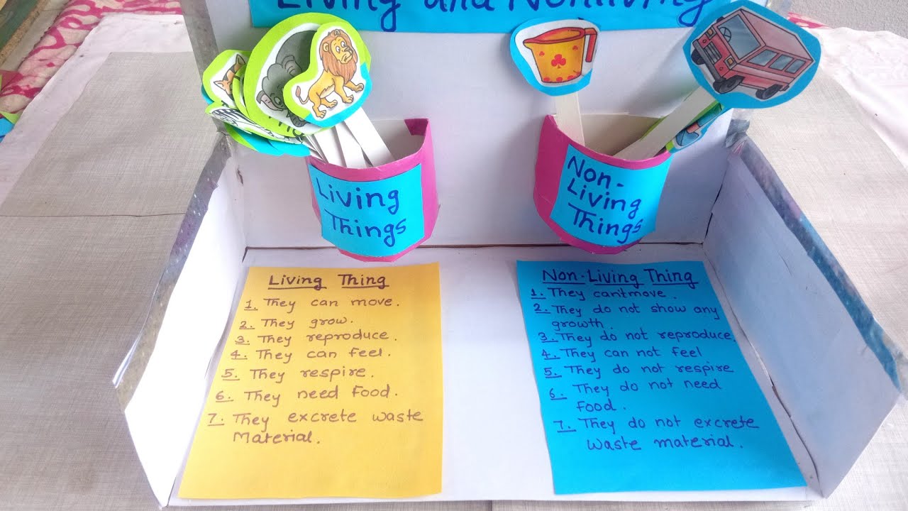 Living And Non living Things Project Science Project On Living And Non Living And Non living Things Project Science Project On Living And Non