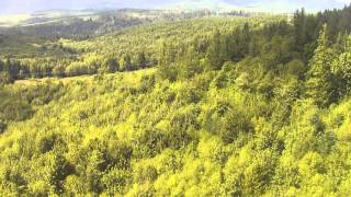 200 acre compound Quilcene, WA Olympic Peninsula