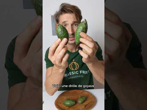 Vidéo: Feijoa exotique et sain