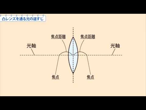 中1理科 凸レンズを通る光の道すじ Youtube