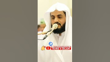 وننزل من القرآن ماهو شفاء ورحمة للمؤمنين 😪🫀 |~ تلاوة هادئة تريح الاعصاب 🧠|~الشيخ رعد الكردي