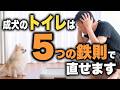 大人の犬がトイレを失敗する理由と解決法を【歴27年のドッグトレーナーが解説】