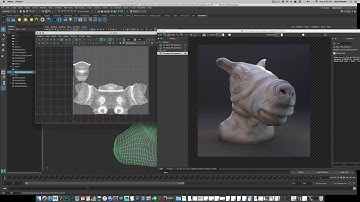 Renderman 21 - Displacement Maps