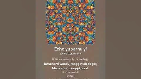 Echo yu xarnu yi
